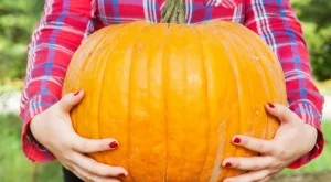 5 есенни супер храни