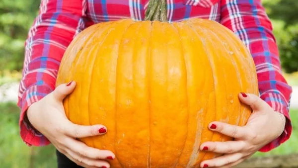 5 есенни супер храни