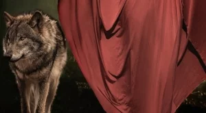 Жената прилича на вълчица