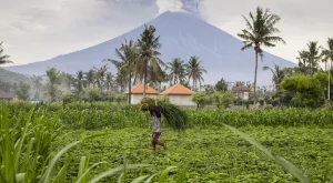МВнР: Бъдете внимателни, ако пътувате до Бали