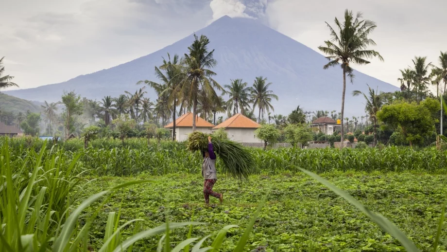 МВнР: Бъдете внимателни, ако пътувате до Бали