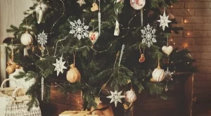 Колко ще ни струва елхата тази година