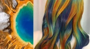 Изумително! Природни картини върху коса (снимки)