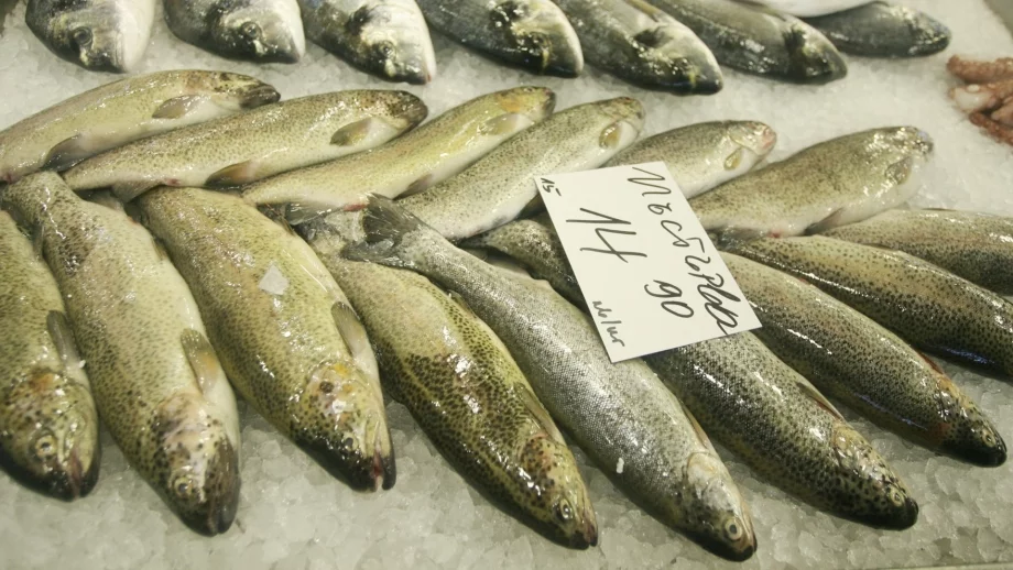 Рибата в Европа свършва, предупреждава WWF