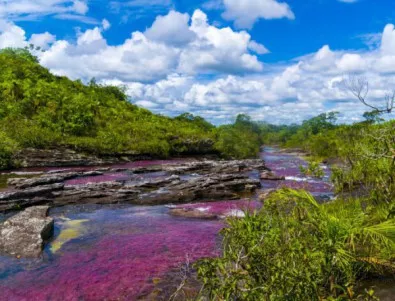 Вълшебната река, която тече в пет цвята (СНИМКИ+ВИДЕО)