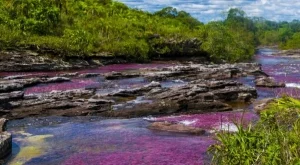 Течната дъга (видео)