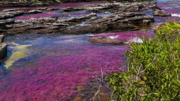 Течната дъга (видео)