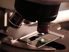 Учени възпроизведоха гласа на мумия на 3000 г.