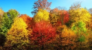 7 дестинации, които да посетите през есента