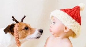 Многото играчки са вредни за бебетата  