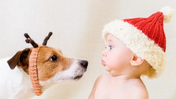 Многото играчки са вредни за бебетата  