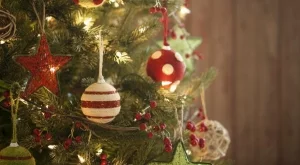 5 лесни и оригинални коледни елхи