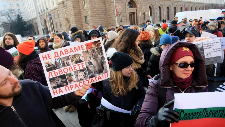 "Дунарит" и "Емко", Терез и Масуд