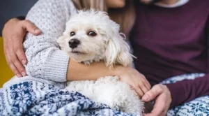 Една зодия ще се ВЛЮБИ в хороскопа за 8 март