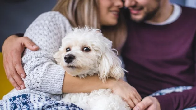 Една зодия ще се ВЛЮБИ в хороскопа за 8 март