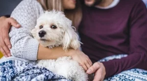 Седмичен хороскоп за 8 - 14 януари