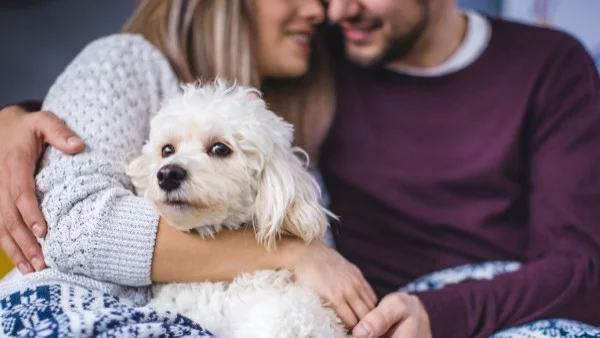 Седмичен хороскоп за 8 - 14 януари