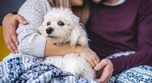 Дневен хороскоп за 1 декември 