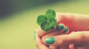 Защо четирилистната детелина е символ на късмет