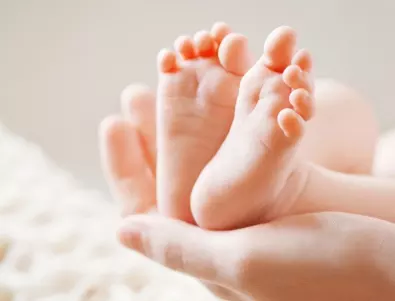 Столичната община обжалва акта за раждане на бебето на еднополова двойка