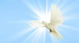 Днес почитаме Светия дух