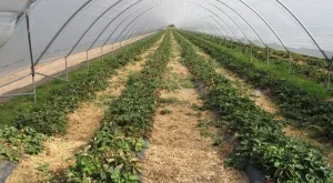 Вече може да се заявяват онлайн и еднодневни трудови договори за половин работен ден