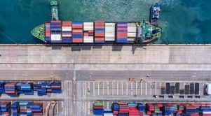 ОИСР призова за успокояване на напрежението в световната търговия