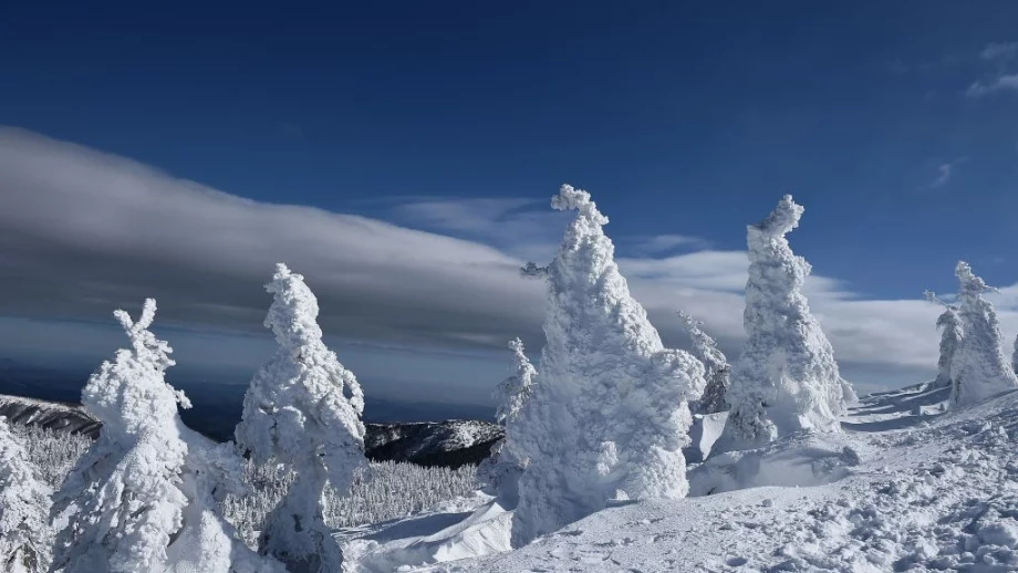 Температурите през март - от минус 20 до плюс 24 градуса