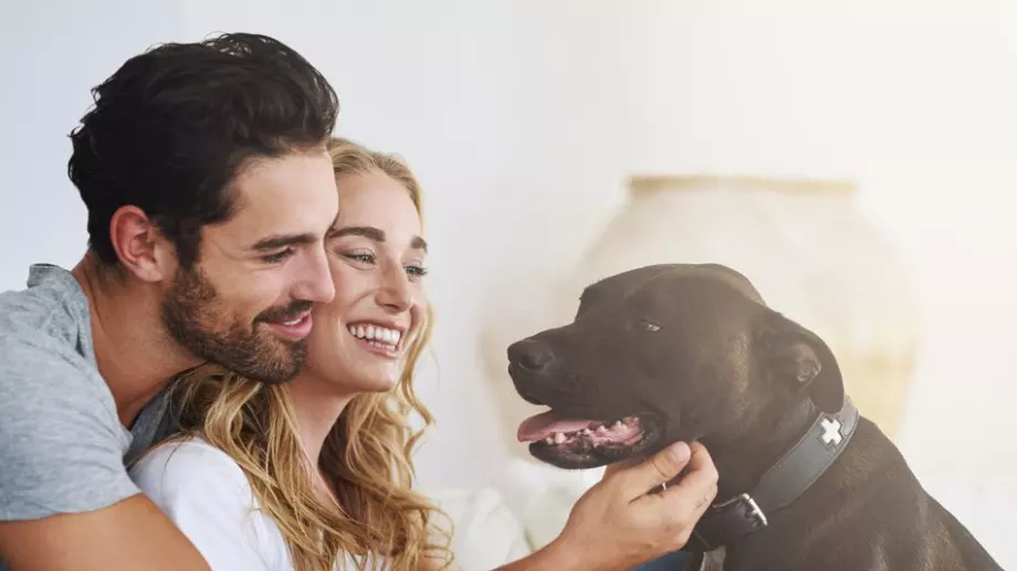 Любовно пожелание за 20 октомври според зодията      