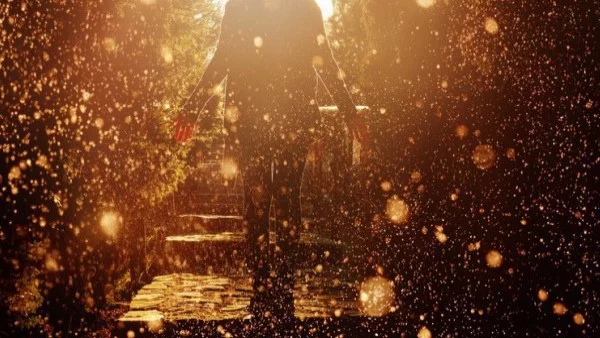 Каква жена си според келтския хороскоп