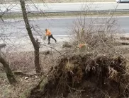 Частично бедствено положение във Враца заради силния вятър