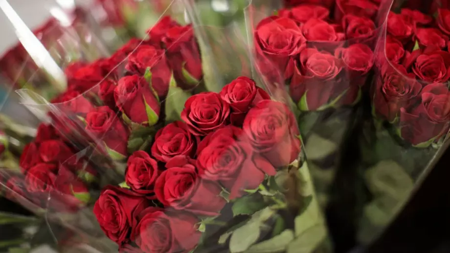 Розата и нейните значения 