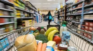 Повече от 280 кг негодни храни иззети по Черноморието 