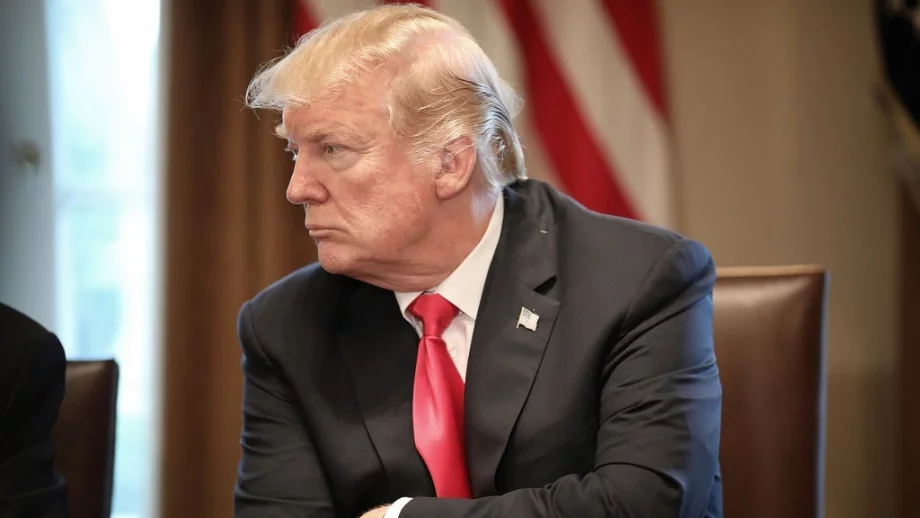 Ще оцелее ли Световната търговска организация при Доналд Тръмп?