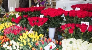 2018/03/08/0527913001520494572