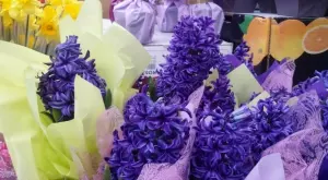 2018/03/08/0716465001520494154