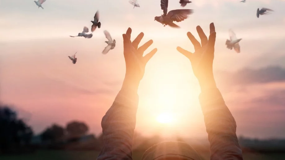 България е на 41-о място в света по човешка свобода