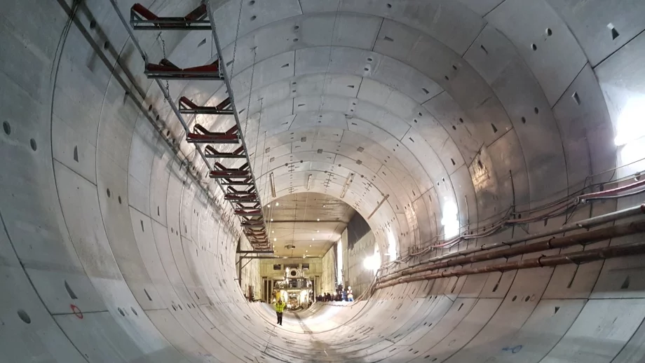 Изсичат половинвековни дървета заради строежа на метрото в София