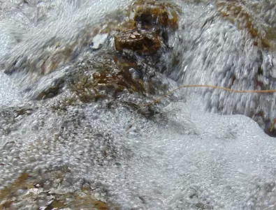 Прокуратурата разследва замърсяване на водите на река Бели Лом