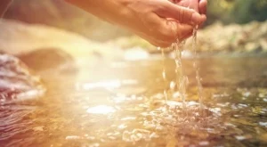 Всичко е в твоите ръце