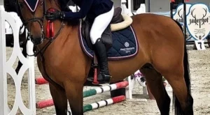 Алекс Арабаджиева се завърна в конния спорт, подготвя втора самостоятелна благотворителна инициатива