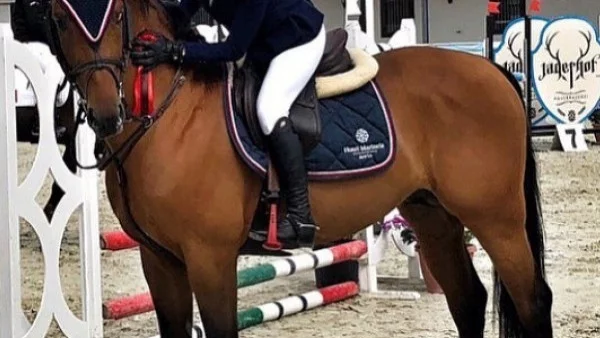 Алекс Арабаджиева се завърна в конния спорт, подготвя втора самостоятелна благотворителна инициатива