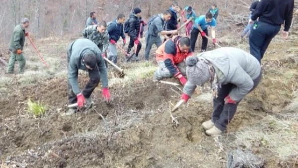 Залесяване в Стара Загора