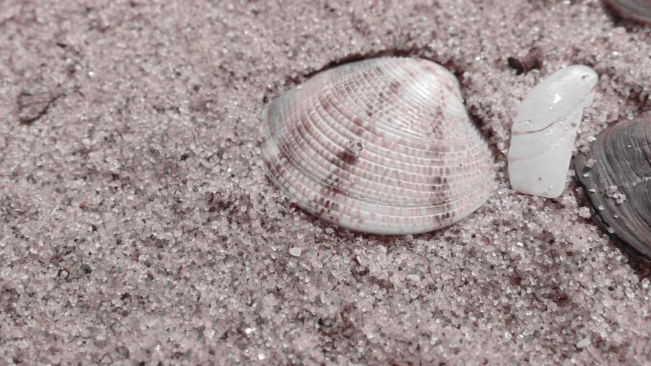 Министерство на туризма проверява централния плаж в Каварна