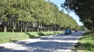Само в България и още една страна от ЕС продажбите на дизелови коли растат