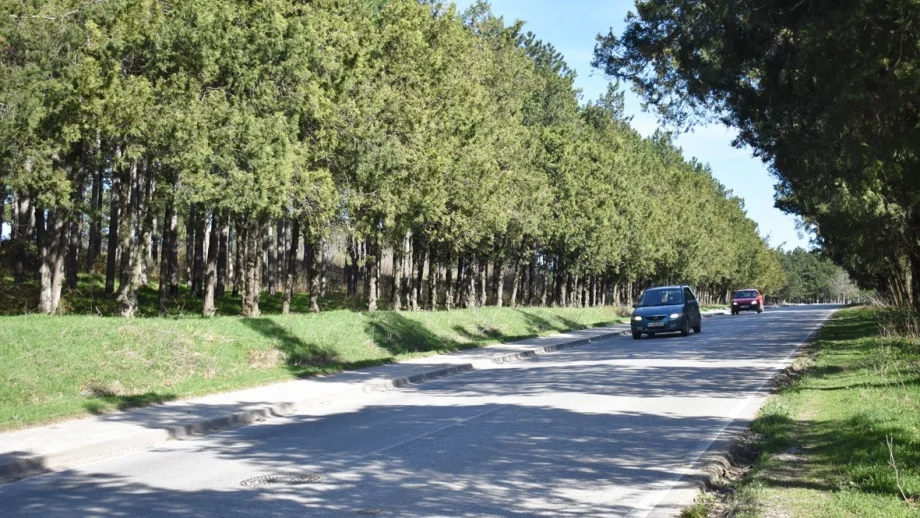 Само в България и още една страна от ЕС продажбите на дизелови коли растат