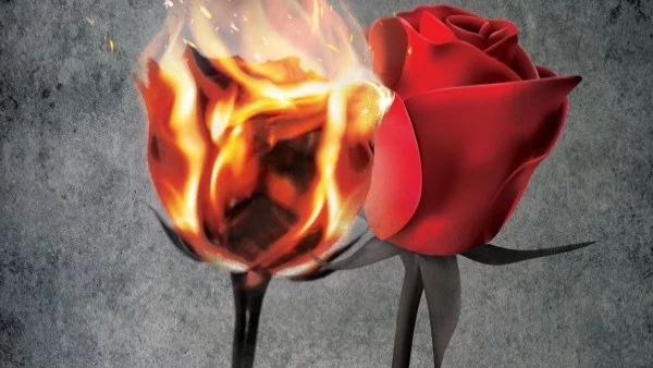 "Другата" - роман за любовта отвъд ограниченията