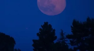 Очаква ни Розова Луна през април