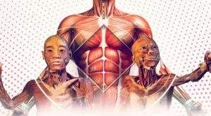 Образователната изложба с истински човешки тела отново гостува в София 