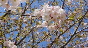 Ето какво време ни очаква от 1 до 15 май 